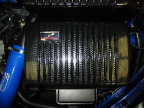BATTERY COVER CARBON FOCUS RS
