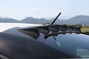 Chargespeed Roof Fin BRZ