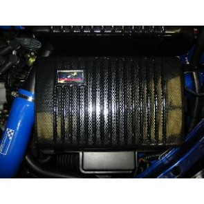 BATTERY COVER CARBON FOCUS RS