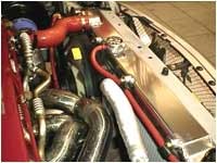 GUPPE A RADIATORS EVO 6