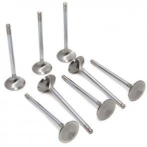 Exhaust Valve 