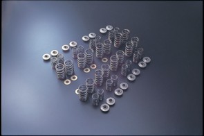 Tomei Typ B Valve Spring Set SR20