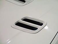 STI scoop