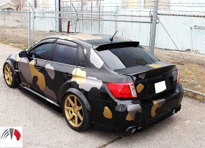 Trunk Canard