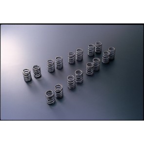 Tomei Valve Spring 4G63