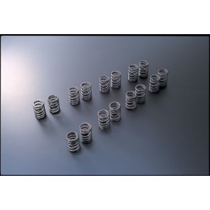Tomei Typ A Valve Spring SR20