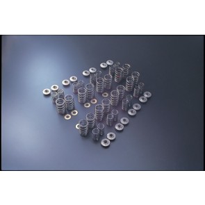 Tomei Typ B Valve Spring Set SR20