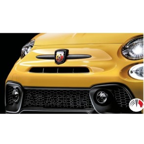 Real Carbon Grill 595 Abarth 2016- 